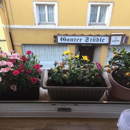 Homestay Waldshut-Tiengen Eksteriør bilde