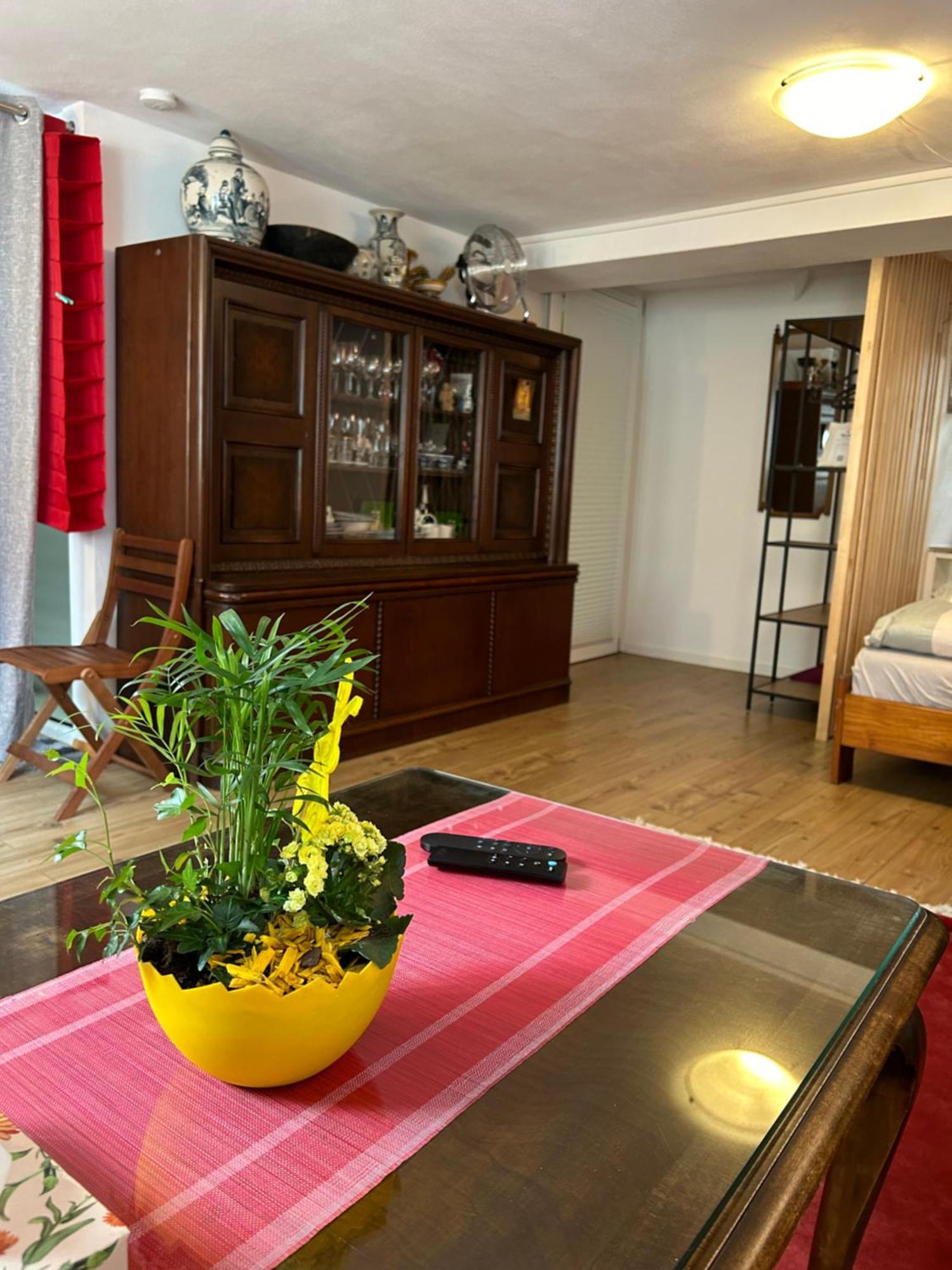 Homestay Waldshut-Tiengen Eksteriør bilde